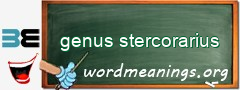 WordMeaning blackboard for genus stercorarius